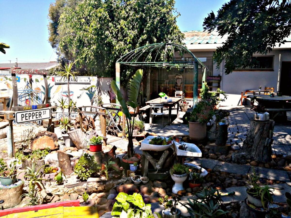 Suzie'S Coffee Shop Accommodation Bellville Extérieur photo